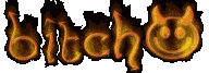 bitch_1__1_.gif